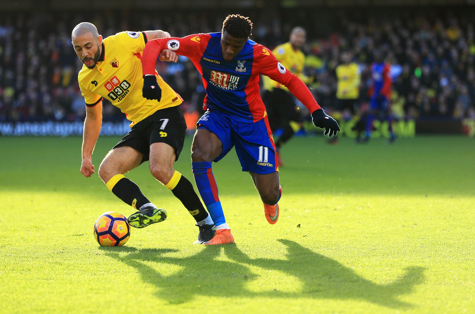 也是他独步 也是他独步