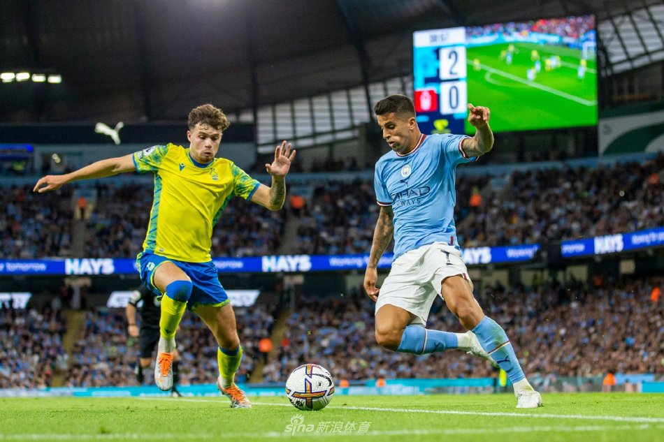 证了其在羽 证了其在羽